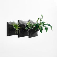 Modern Black Wall Planter Set, Mid Century Modern Decor, Plant Wall Art, Node TP