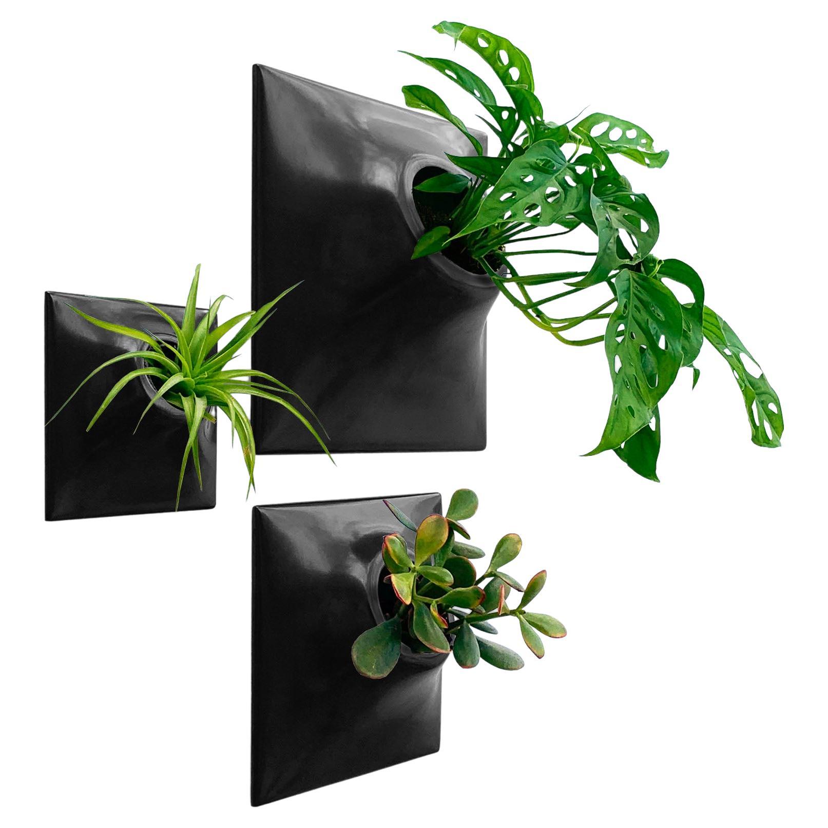 Modern Black Wall Planter Set, Mid Century Modern Decor, Plant Wall Art, Node TP For Sale