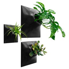 Modern Black Wall Planter Set, Mid Century Modern Decor, Plant Wall Art, Node TP