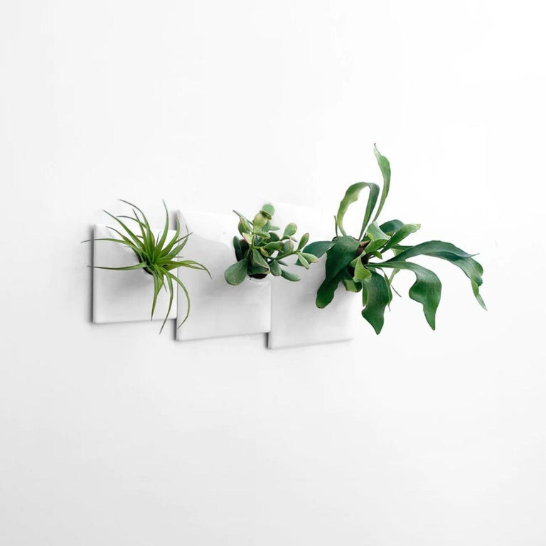 Modern White Wall Planter Set, Mid Century Modern Decor, Plant Wall Art