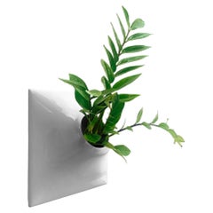 Modern Gray Wall Planter, Plant Wall Sculpture, Wall Art Decor, Node 12" Large M