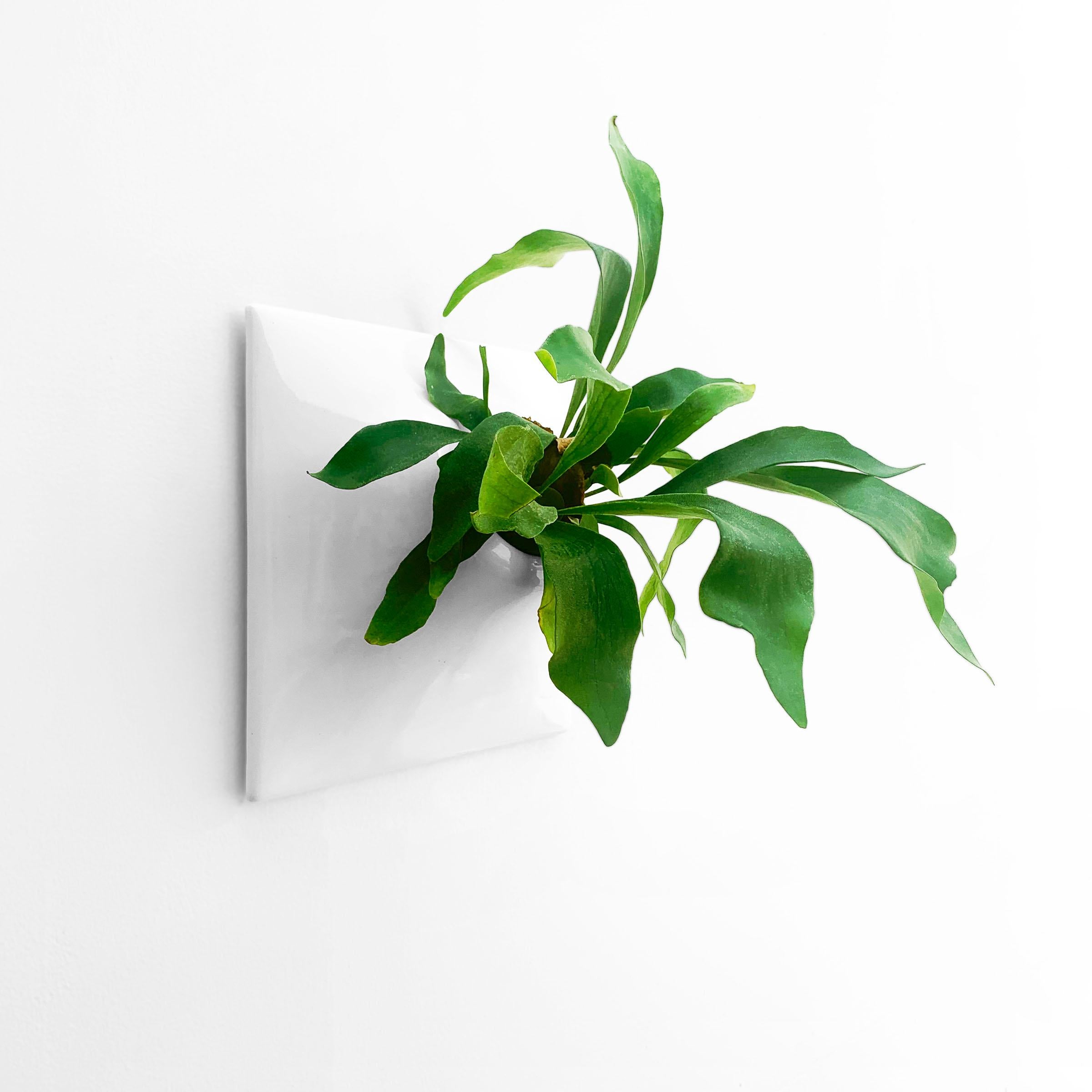 American Modern White Wall Planter, Plant Wall Sculpture, Wall Art Decor, Node 12