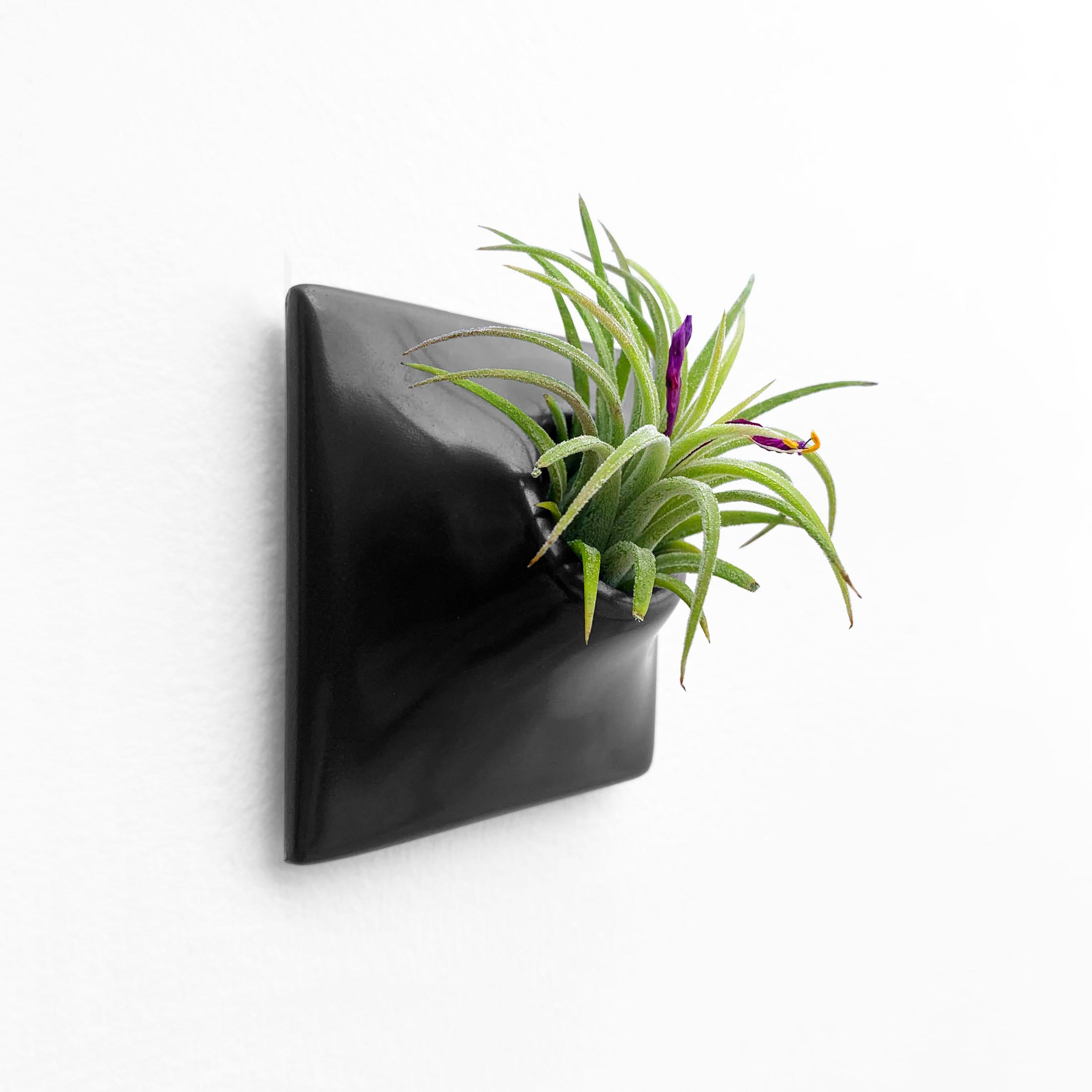 Ceramic Modern Black Wall Planter, Air Plant Holder, Living Wall Decor, Node 3