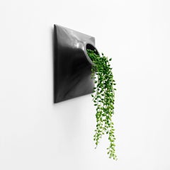 Modern Black Wall Planter, Plant Wall, Living Wall Sculpture, Node 9" Medium