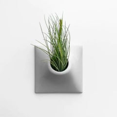 Modern Gray Wall Planter, Plant Wall, Living Wall Sculpture, Node 9" Medium, MDG