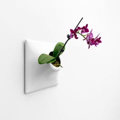 Modern White Wall Planter, Plant Wall, Living Wall Sculpture, Node 9" Medium
