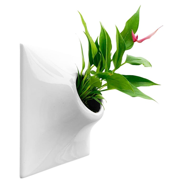 Modern Ceramic Wall Planter, Plant Wall, Living Wall Art, Node 9
