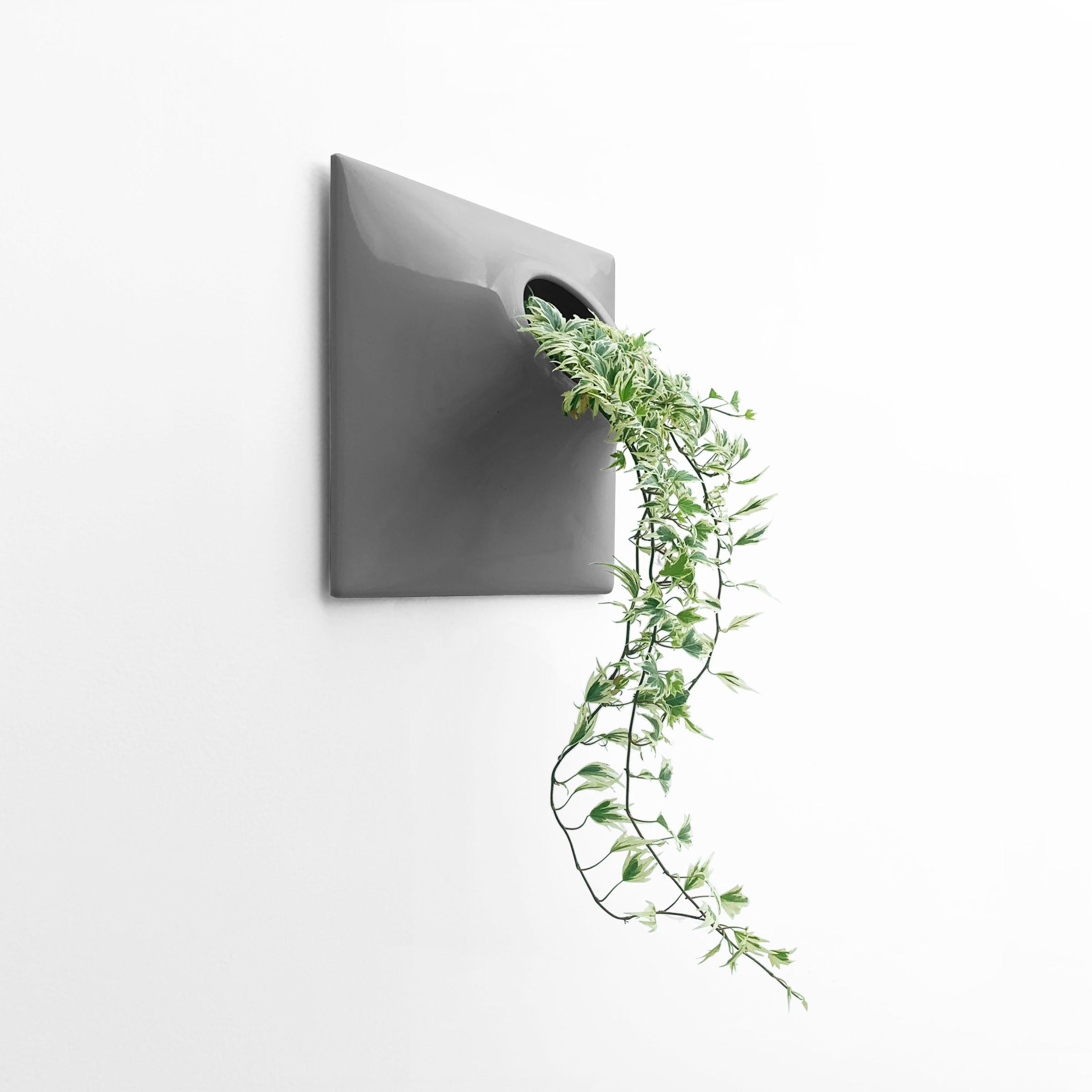 Modern Gray Wall Planter, Plant Wall Sculpture, Wall Art Decor, Node 12