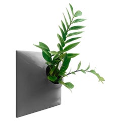 Modern Gray Wall Planter, Plant Wall Sculpture, Wall Art Decor, Node 12" Large D