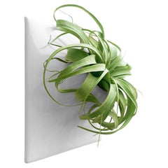 Modern Gray Wall Planter, Plant Wall Sculpture, Wall Art Decor, Node 12" Large L