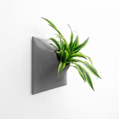 Modern Gray Wall Planter, Plant Wall Sculpture, Living Decor, Node 15" X Large D
