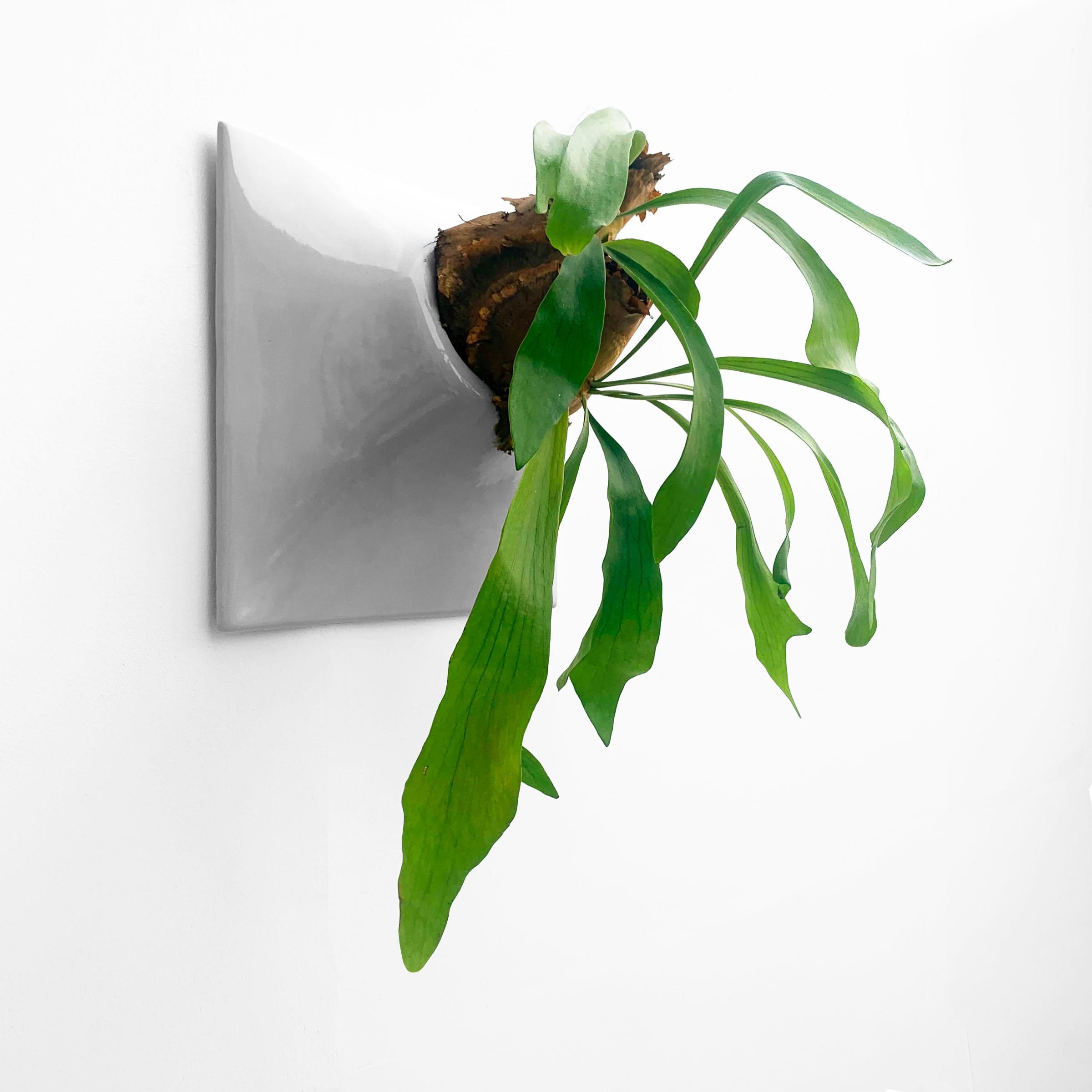 Glazed Modern Gray Wall Planter, Plant Wall Sculpture, Living Decor, Node 15