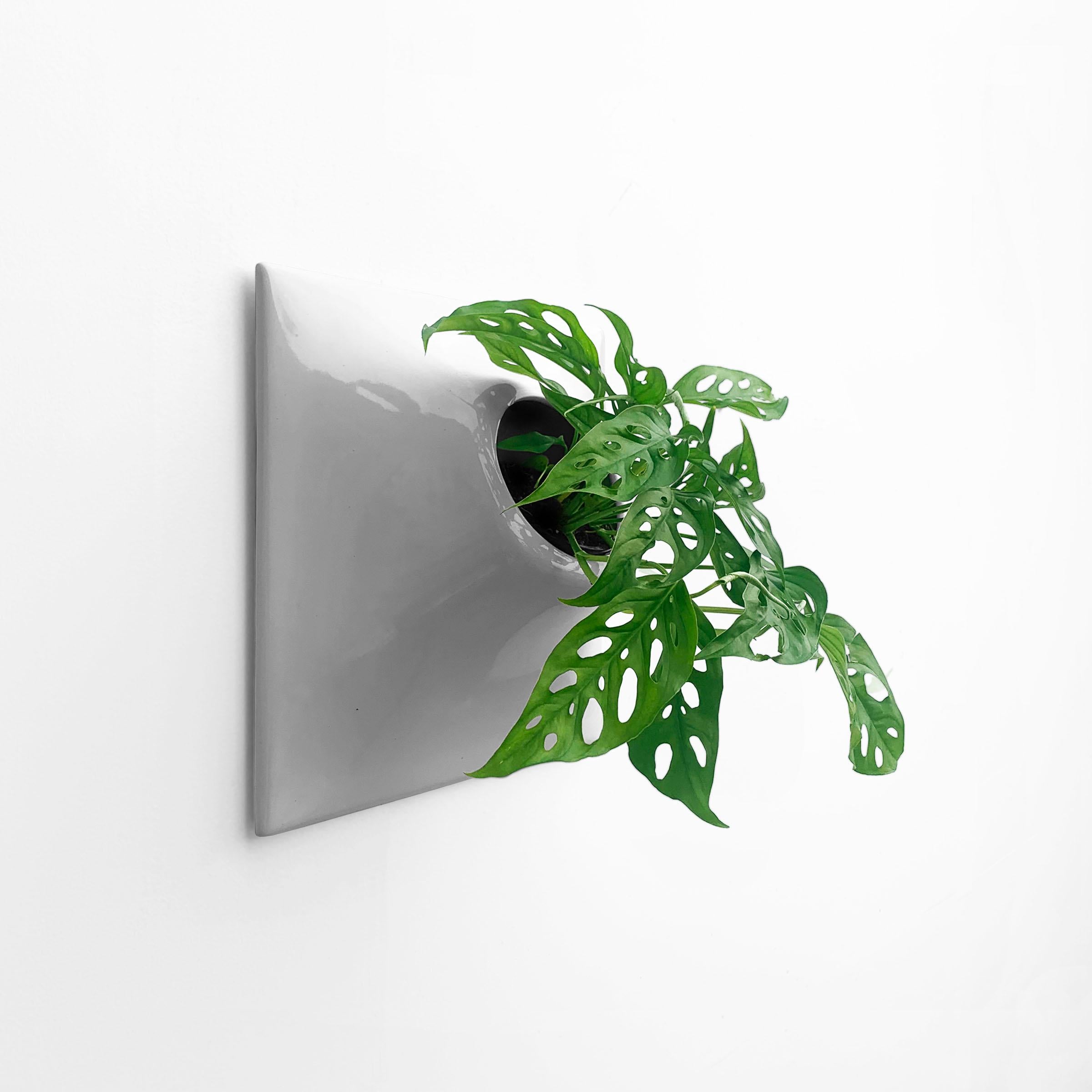 Modern Gray Wall Planter, Plant Wall Sculpture, Living Decor, Node 15