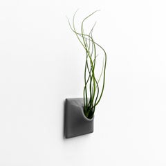 Modern Gray Wall Planter, Air Plant Holder, Living Wall Decor, Node 3" X Small D
