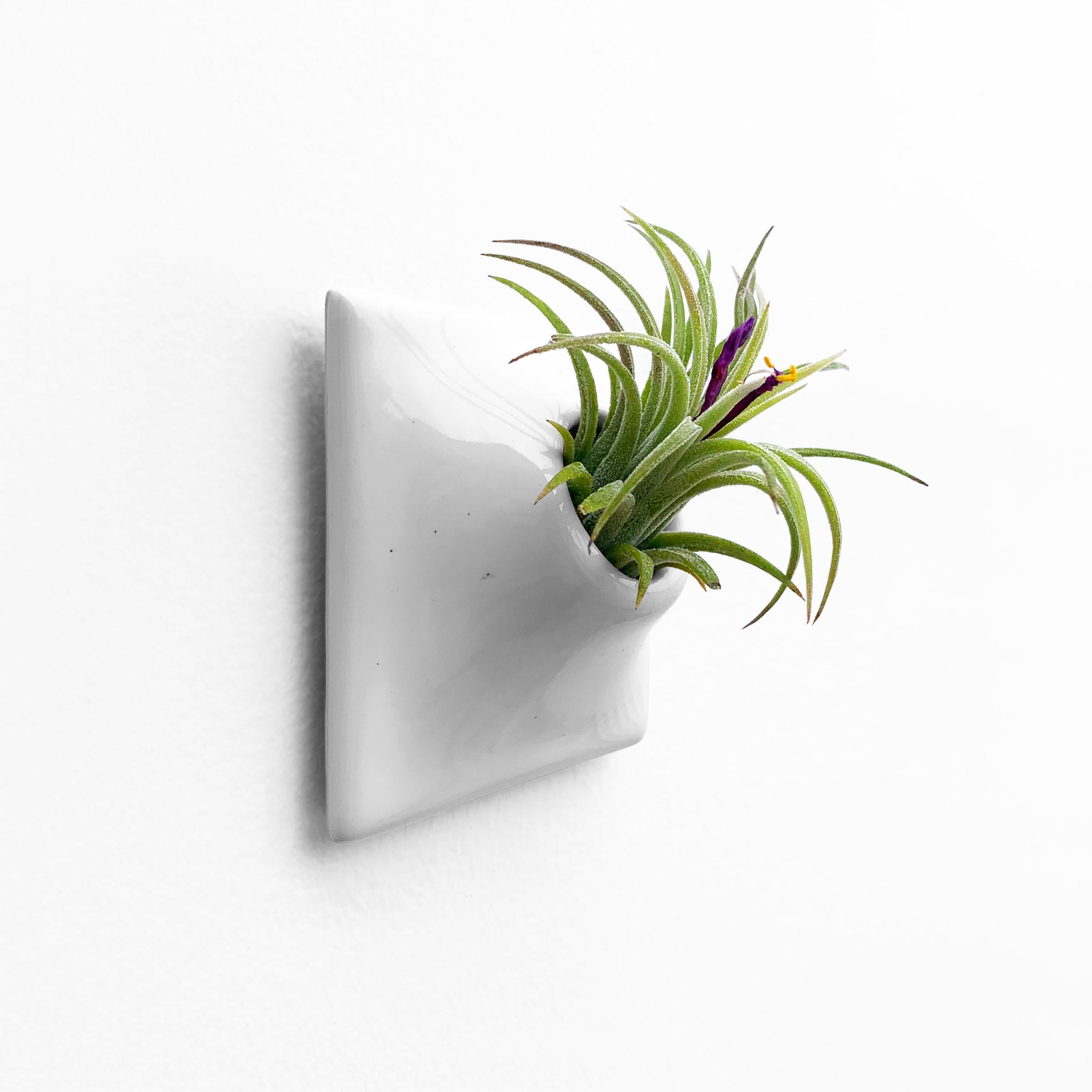 Ceramic Modern Gray Wall Planter, Air Plant Holder, Living Wall Decor, Node 3