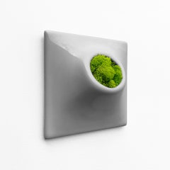 Modern Gray Wall Planter, Sculpture, Mid Century Modern Decor, Node 6" Small, M