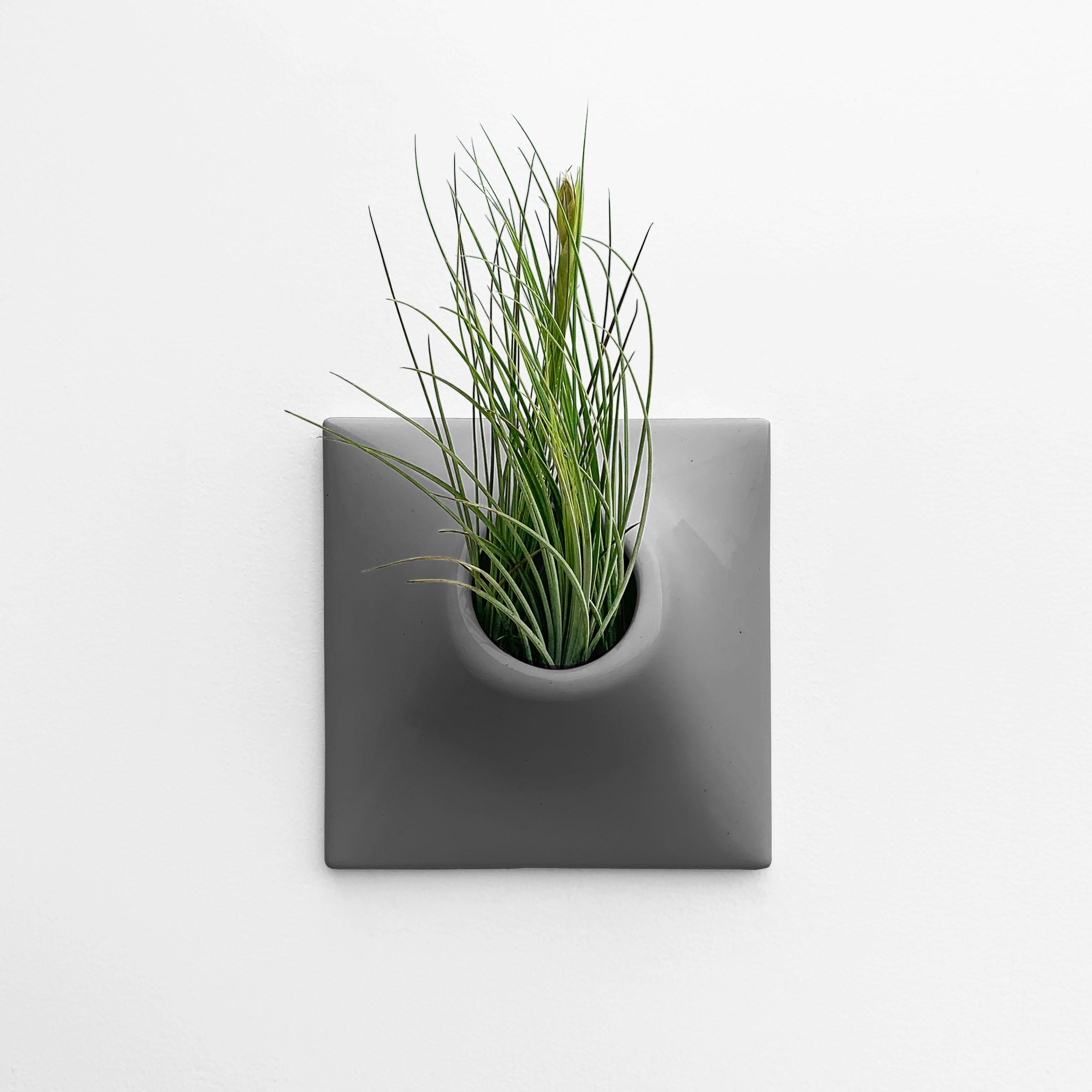 Modern Gray Wall Planter, Plant Wall, Living Wall Sculpture, Node 9