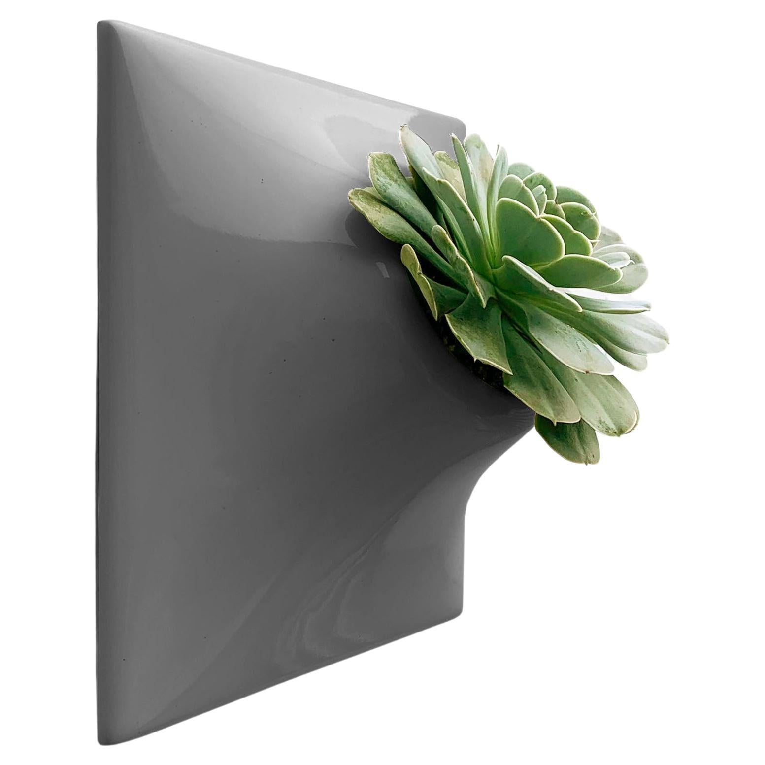 Modern Gray Wall Planter, Plant Wall, Living Wall Sculpture, Node 9" Medium, DKG For Sale