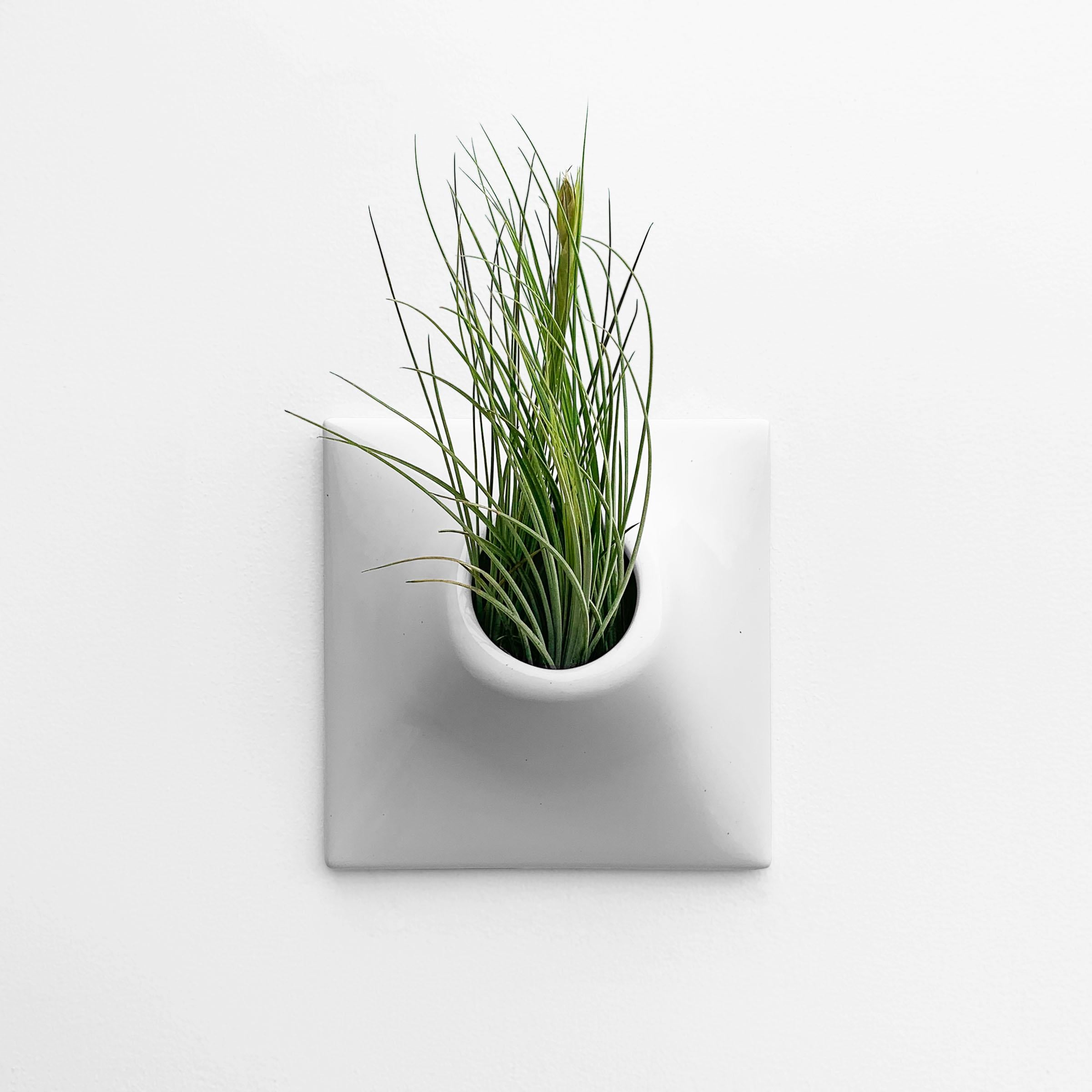 Glazed Modern Gray Wall Planter, Plant Wall, Living Wall Sculpture, Node 9