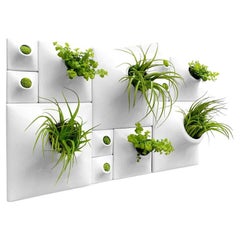 Modern White Greenwall, Mid Century Modern Wall Decor, Moss Wall Art, Node BS3