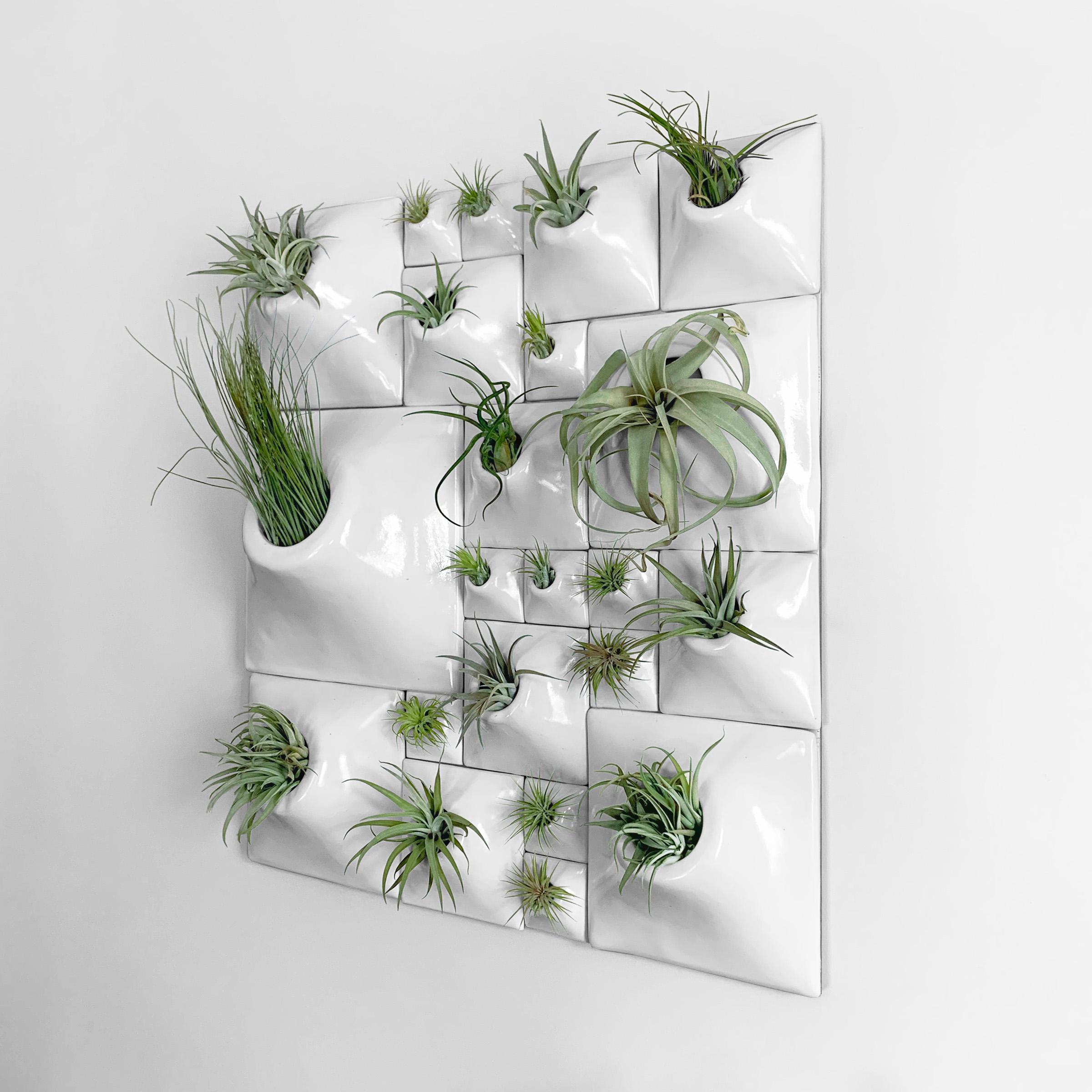 Glazed Modern Wall Sculpture, Biophilic Wall Art, Living Wall Decor, Moss Wall Planter For Sale