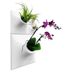 Modern Ceramic Wall Planter, Plant Wall Art, Vertical Garden Decor, Node BS1