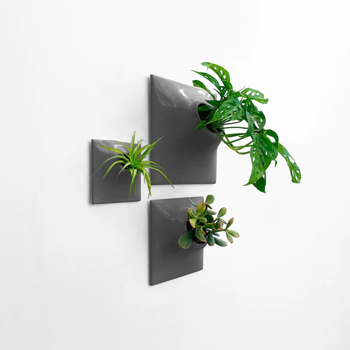 American Modern Gray Wall Planter Set, Mid Century Modern Decor, Plant Wall Art, Node TPD For Sale