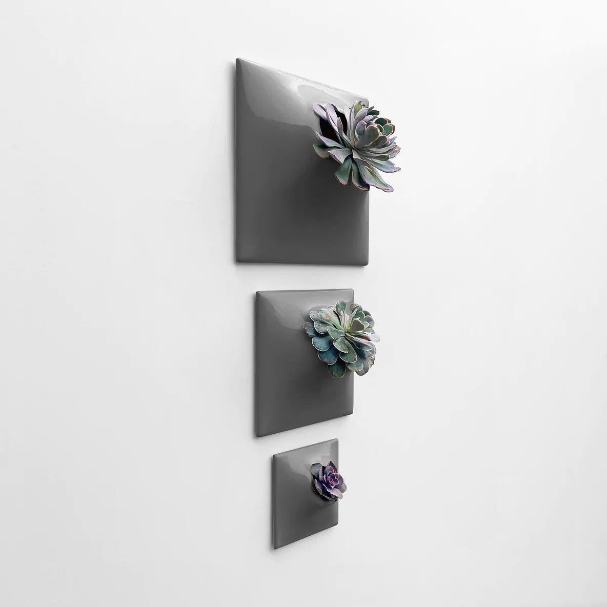 Modern Gray Wall Planter Set, Mid Century Modern Decor, Plant Wall Art, Node TPD In New Condition For Sale In Bridgeport, PA