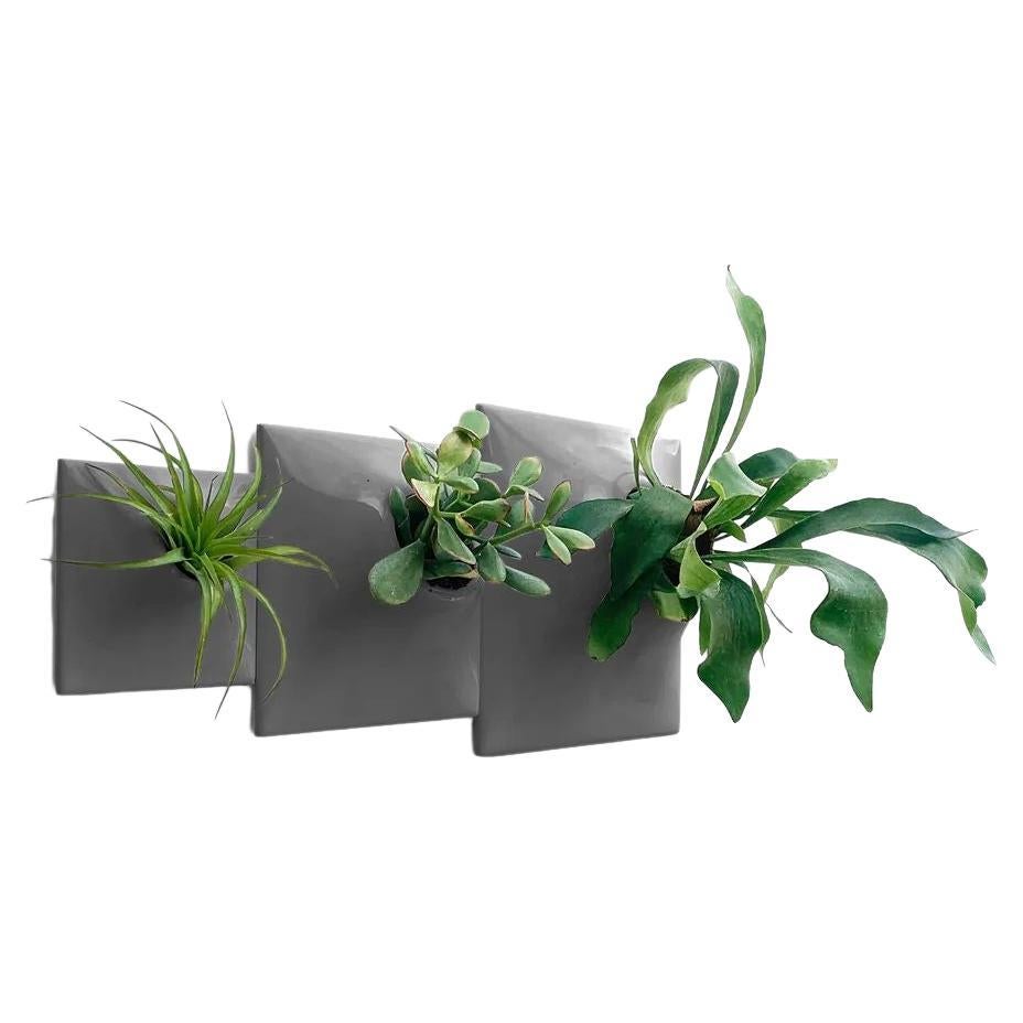 Modern Gray Wall Planter Set, Mid Century Modern Decor, Plant Wall Art, Node TPD

Take your modern wall art to the next level by creating a dynamic and intriguing living wall or modular plant wall in your home or office with this Node Wall Planter