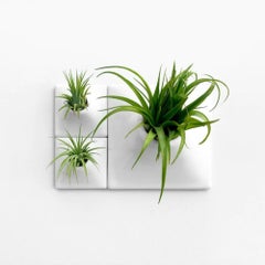 Modern White Wall Planter Set, Mid Century Modern Decor, Moss Wall Art, Node BR1
