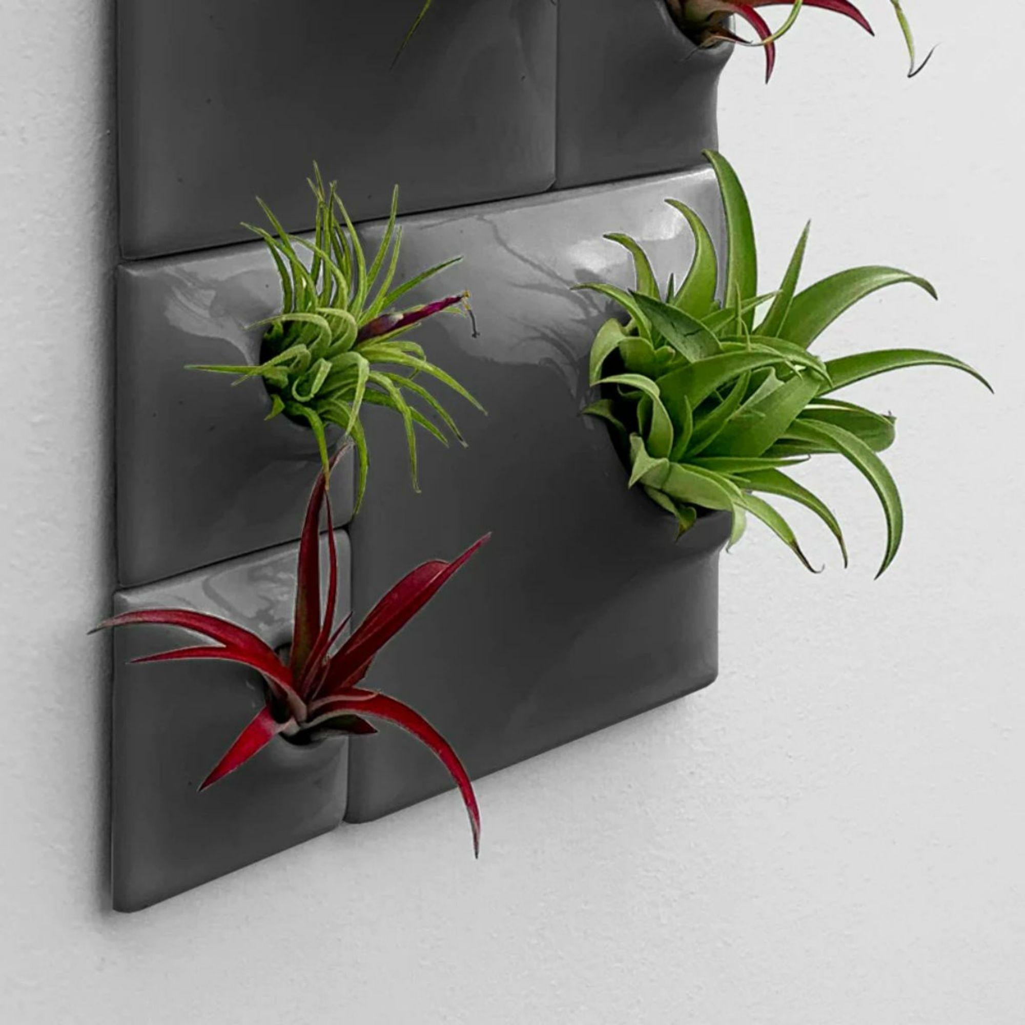 Modern Gray Wall Planter Set, Biophilic Wall Sculpture, Moss Wall Art, Node BR3D In New Condition For Sale In Bridgeport, PA