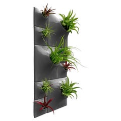 Modern Gray Wall Planter Set, Biophilic Wall Sculpture, Moss Wall Art, Node BR3D