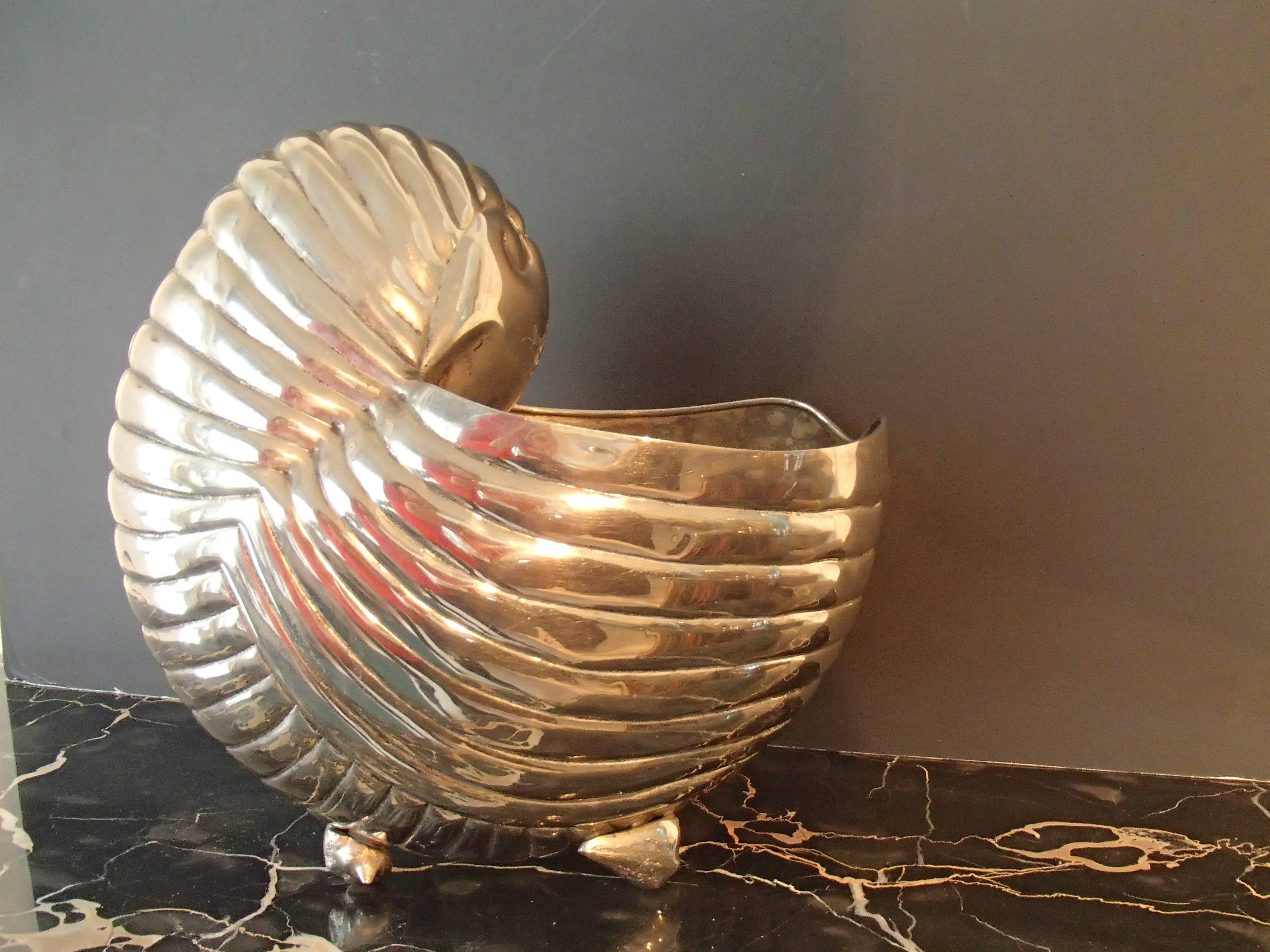 Modern Champagne or Vine Cooler like a Shell Seen in 