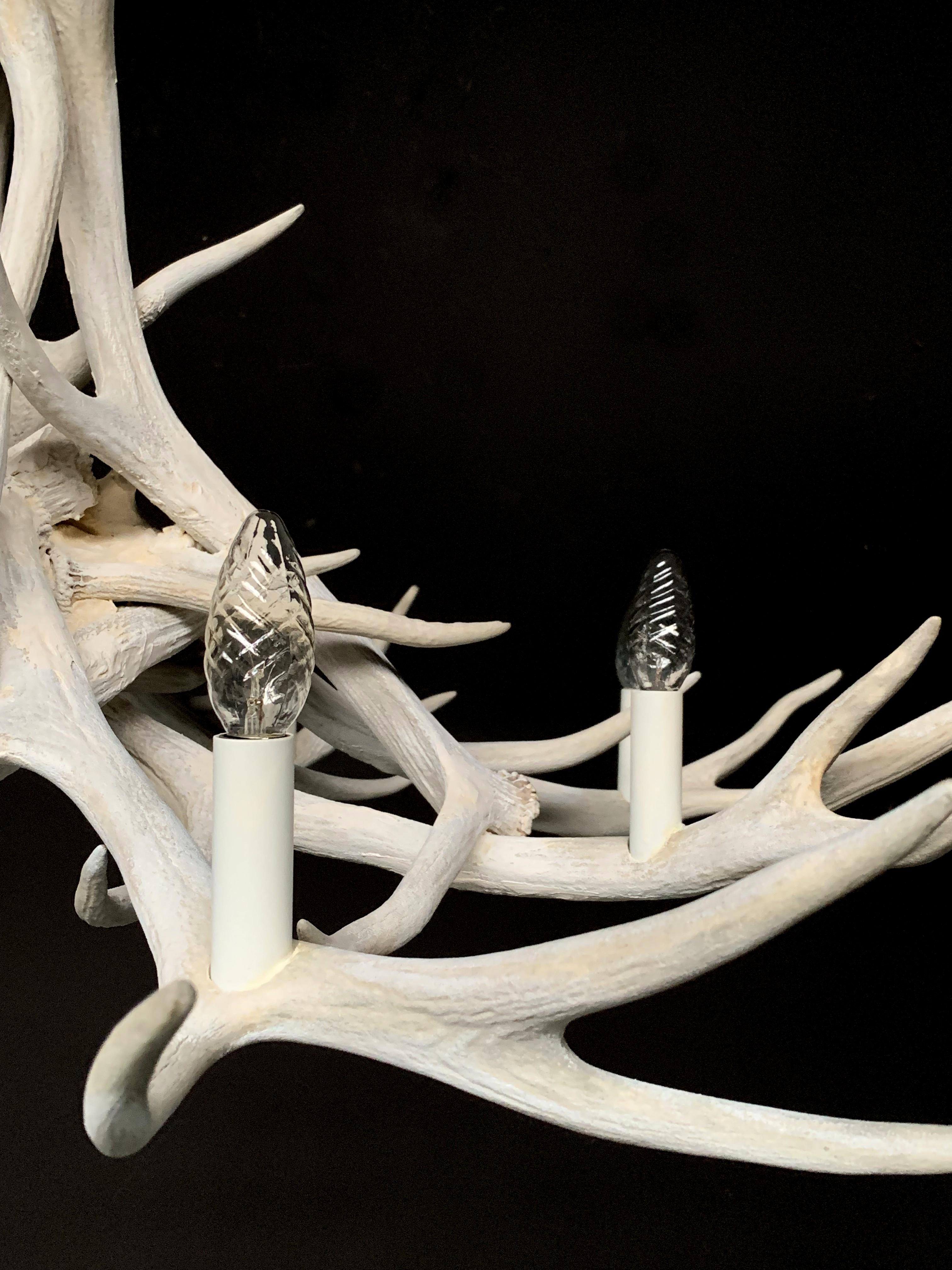 bleached antler chandelier