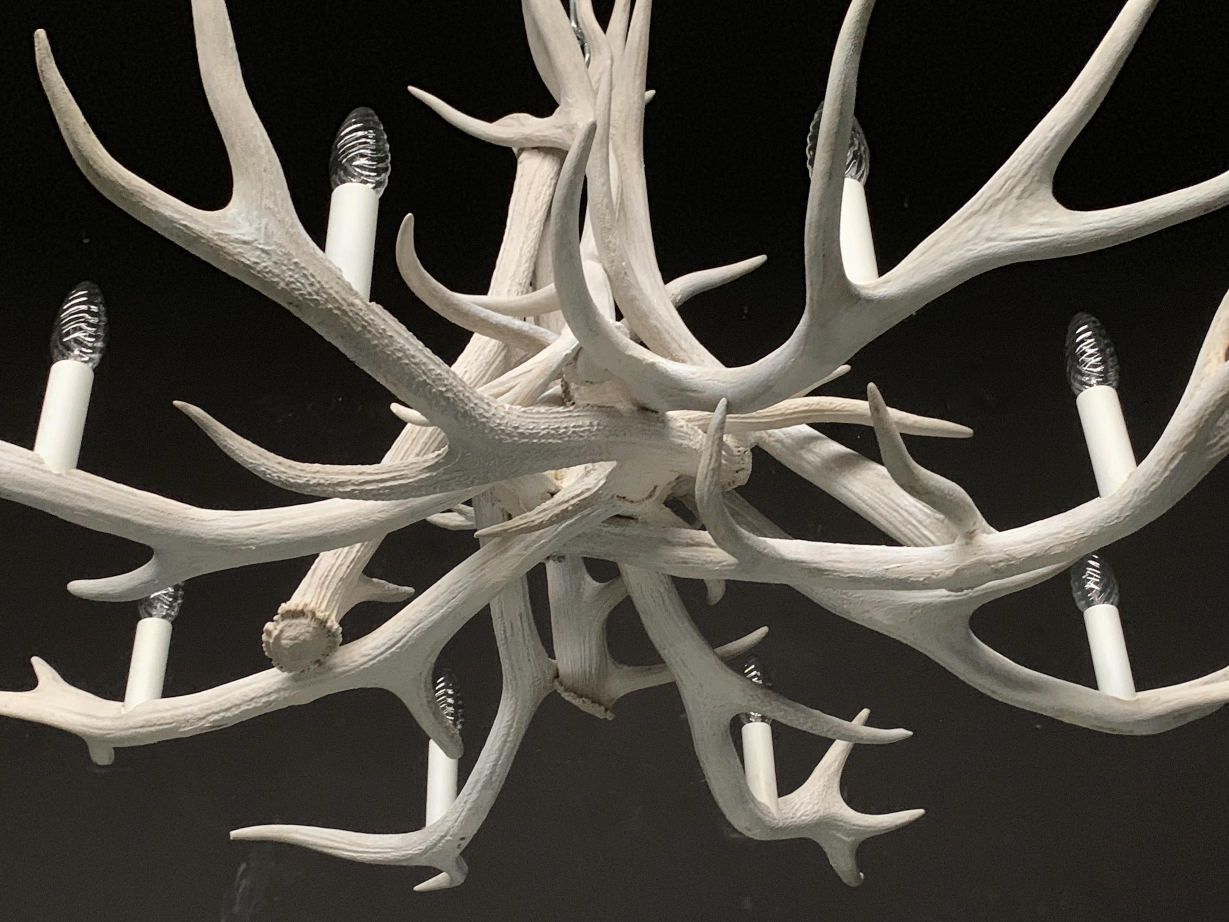 Modern Chandelier Made of Bleached Red Stag Antlers In Excellent Condition In Eindhoven, NL