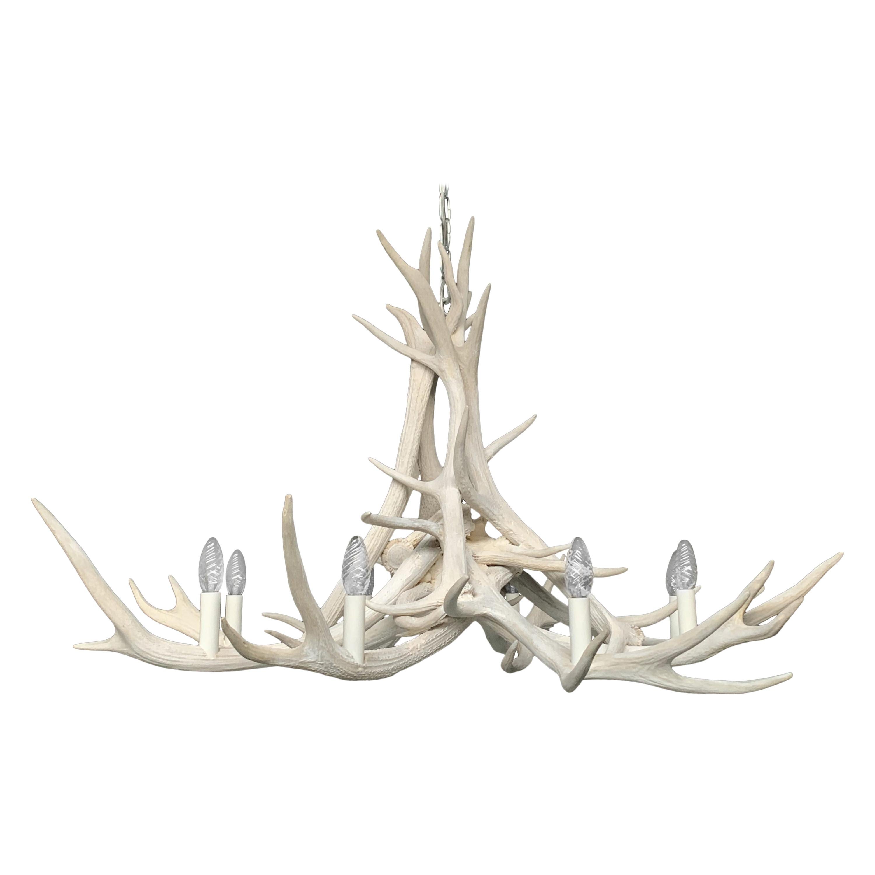 Modern Chandelier Made of Bleached Red Stag Antlers