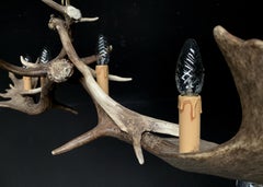 Modern Chandelier Made of Fallow deer Antlers