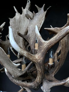 Modern Chandelier Made of Fallow deer Antlers