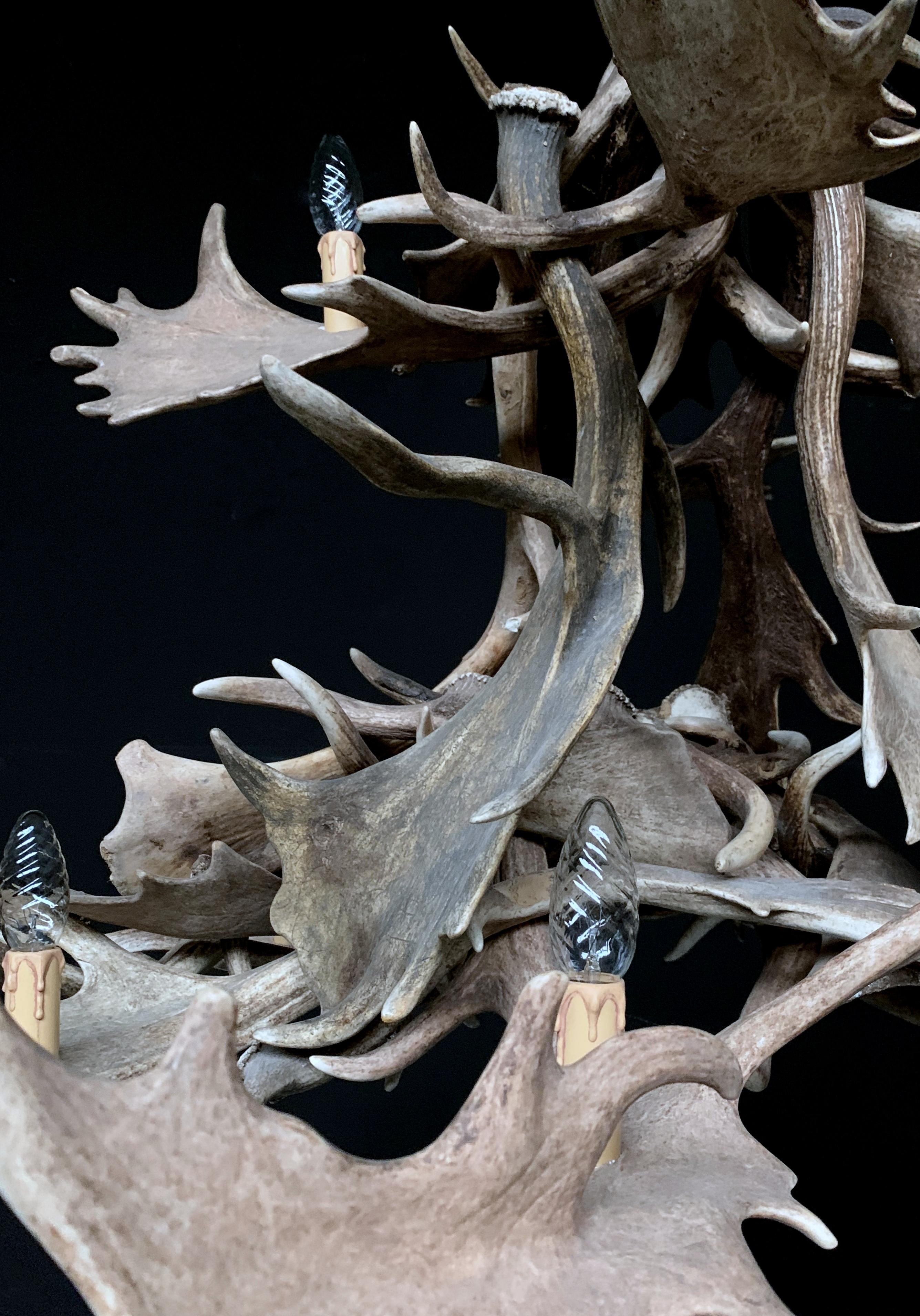 Modern Chandelier Made of Fallow Deer Antlers at 1stDibs fallow deer