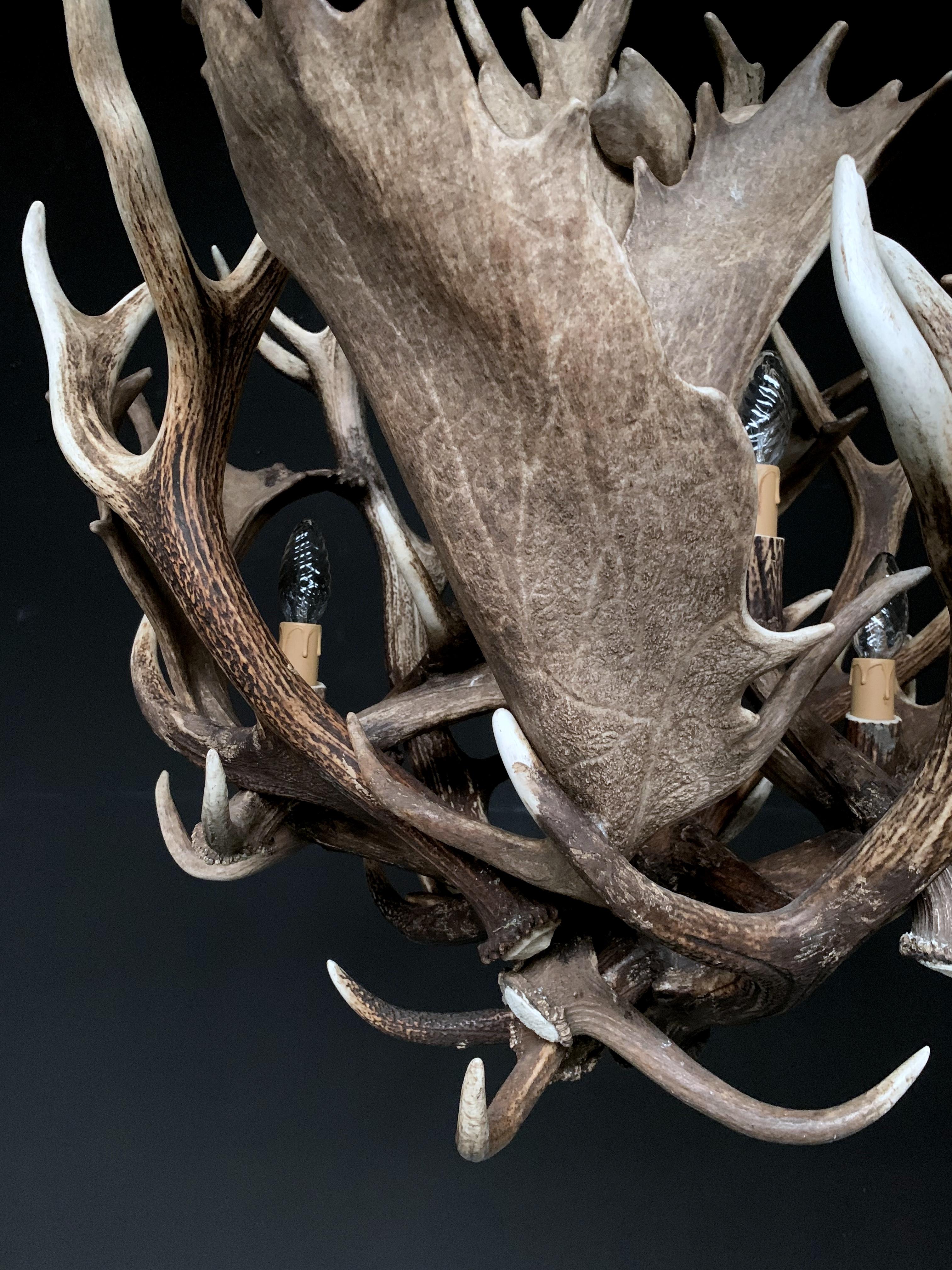 modern antlers