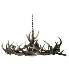 Modern Chandelier Made of red stag Antlers