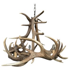 Modern Chandelier Made of Red Stag Antlers