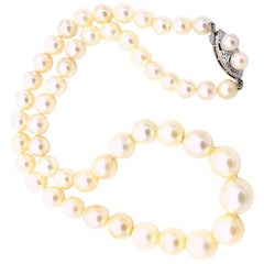 Modern, Chocker AAA Pearl Strand Graduated, 14 Karat Gold