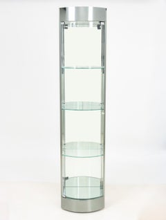 Modern Chrome and Glass Display Cabinet