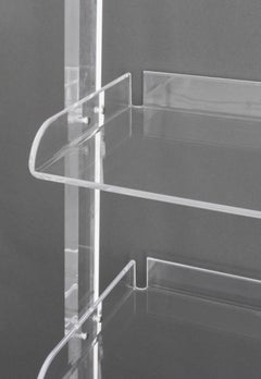 Modern Clear Acrylic Ladder Shelves