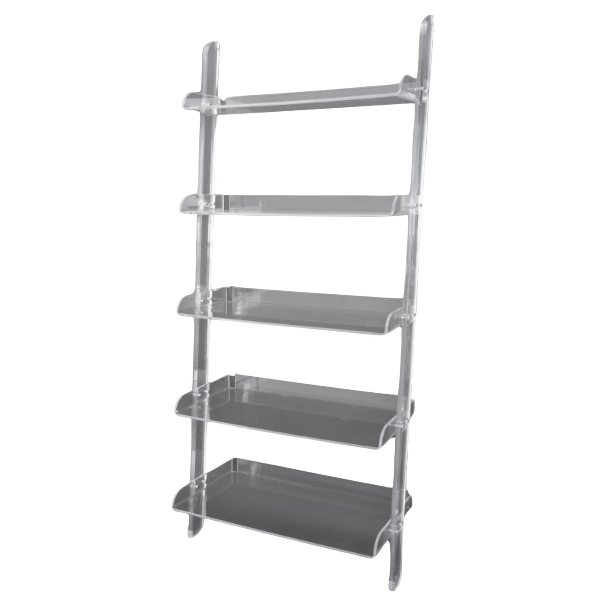 The Modernity Clear Acrylic Ladder Shelves (étagères à échelles en acrylique transparent) en vente