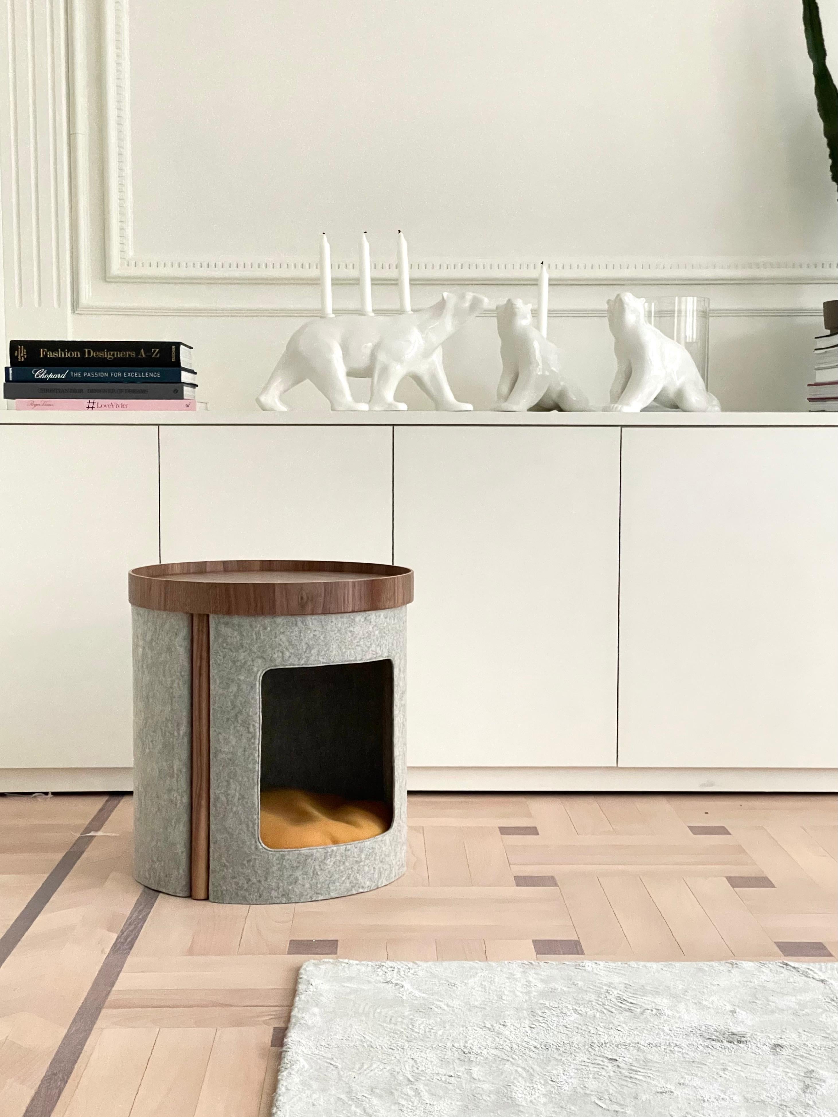 Scandinavian Modern Modern Coffee Table 