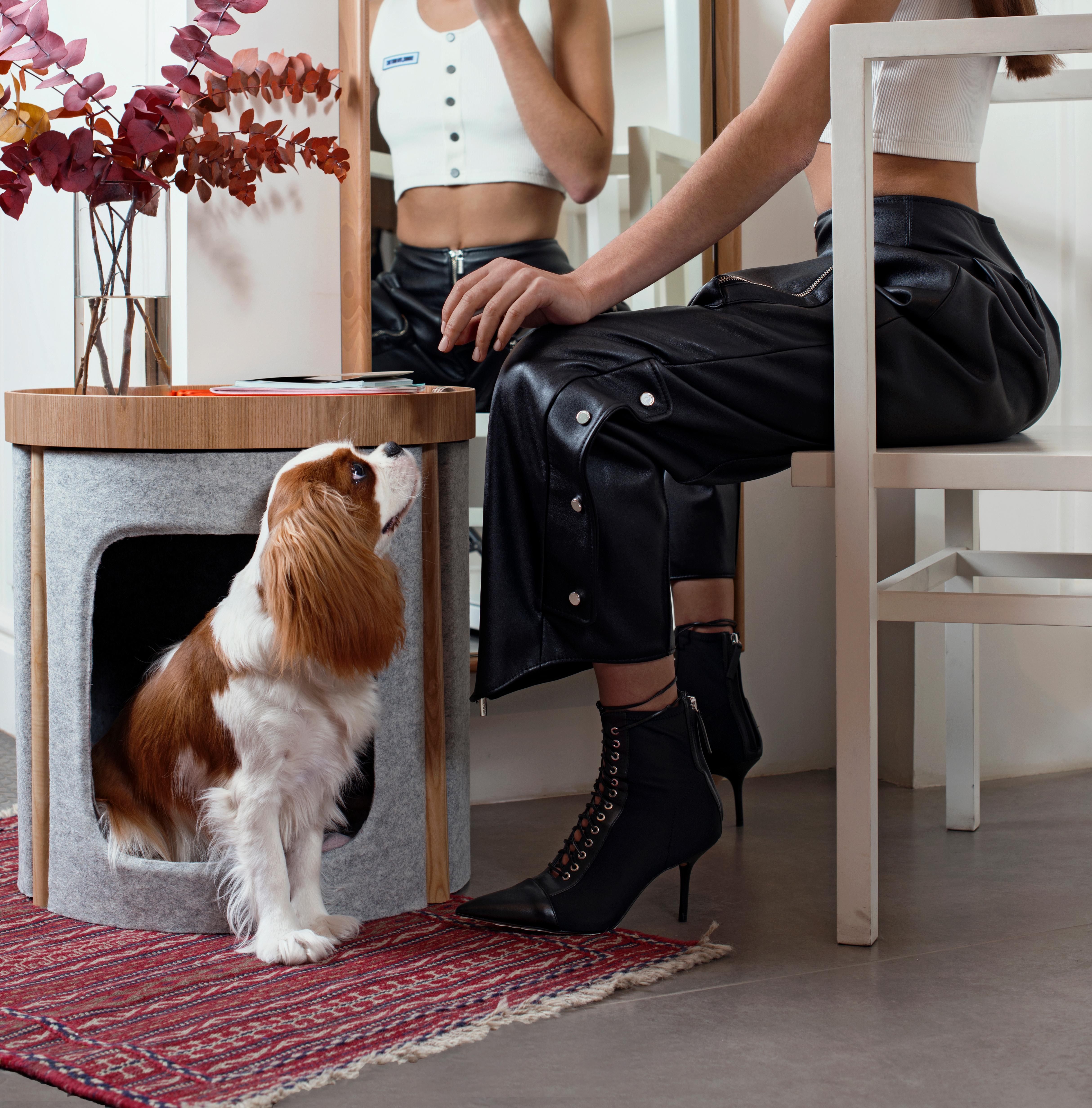 Contemporary Modern Coffee Table 