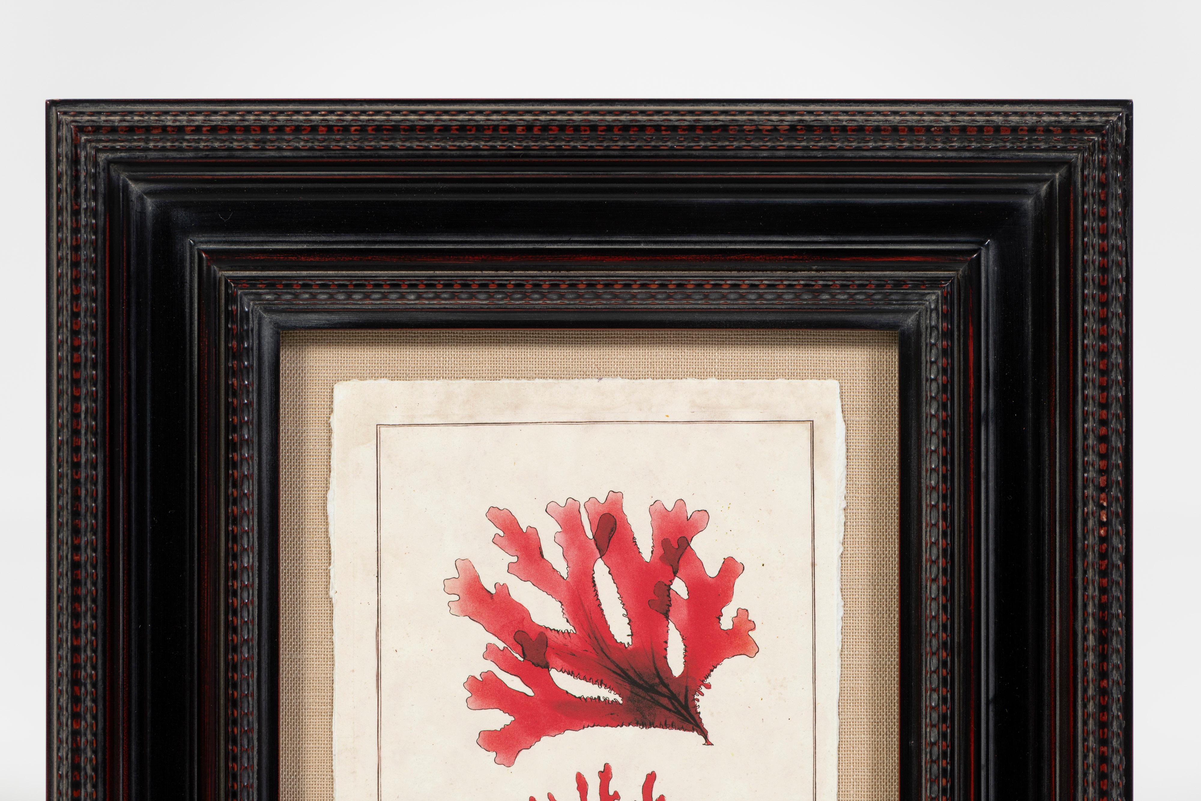 Organic Modern Modern Coral Print, Framed, 20th Century, USA For Sale