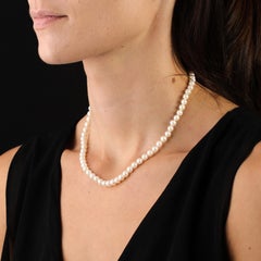 Modern Cultured Pearl 18 Karat Yellow Gold Choker Necklace